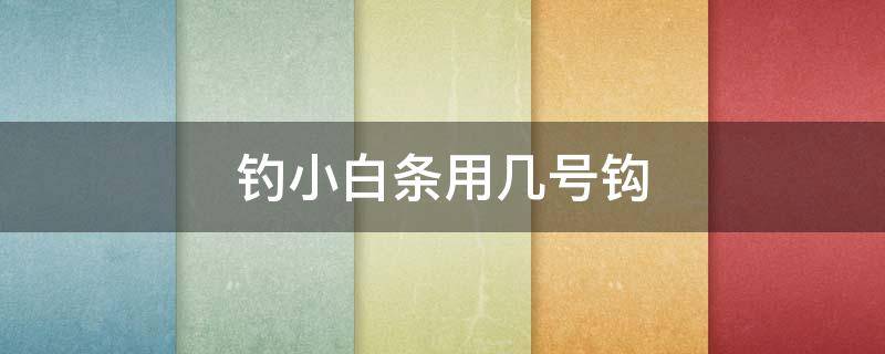 钓小白条用几号钩 钓小白条一般用几号钩