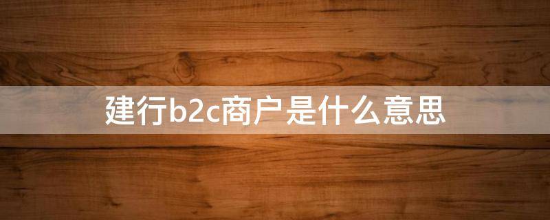 建行b2c商户是什么意思（建行电商平台是）