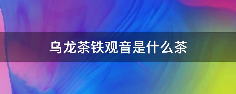 乌龙茶铁观音是什么茶（铁观音茶叶是乌龙茶吗）