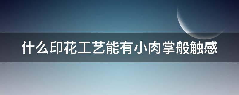 什么印花工艺能有小肉掌般触感（可以印花的产品）