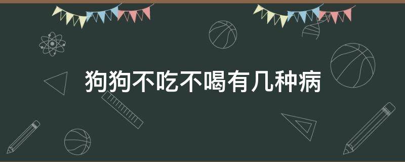 狗狗不吃不喝有几种病 狗不吃食什么病