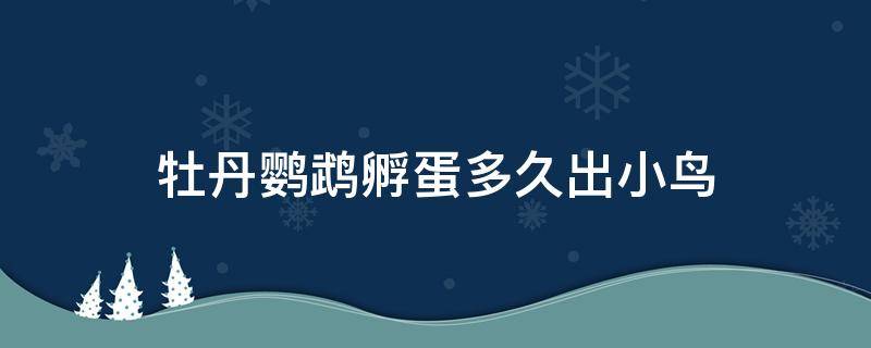 牡丹鹦鹉孵蛋多久出小鸟（牡丹鹦鹉孵蛋多长时间能出小鸟）