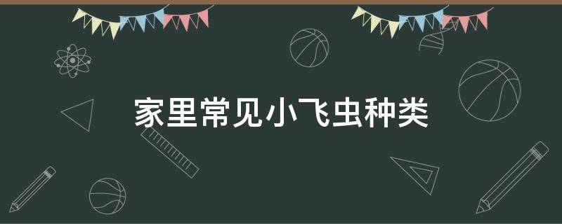 家里常见小飞虫种类（家里面常见的小飞虫都是哪些）