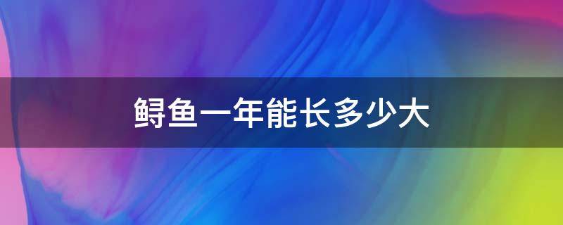 鲟鱼一年能长多少大 鲟鳇鱼一年能长多大