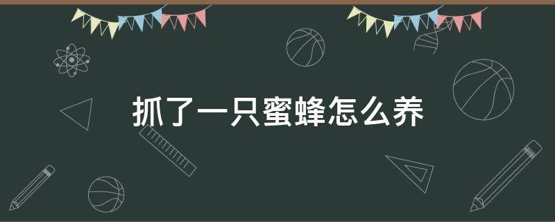 抓了一只蜜蜂怎么养 抓了一只蜜蜂怎么养才能繁殖