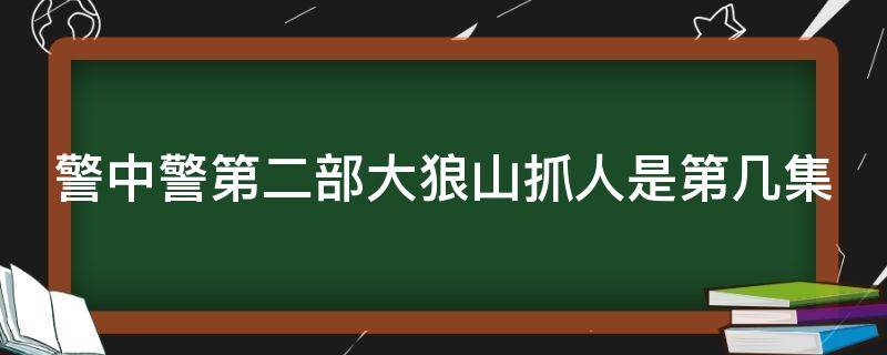 警中警第二部大狼山抓人是第几集（警中警第二部大狼山抓人是第几集第一集）