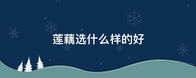 莲藕选什么样的好 莲藕哪种好