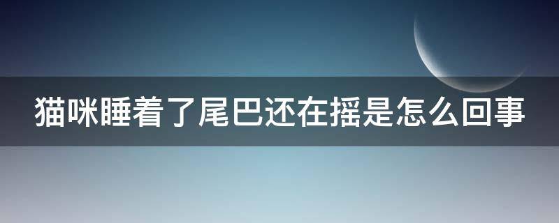 猫咪睡着了尾巴还在摇是怎么回事（猫咪睡着了尾巴一直动）