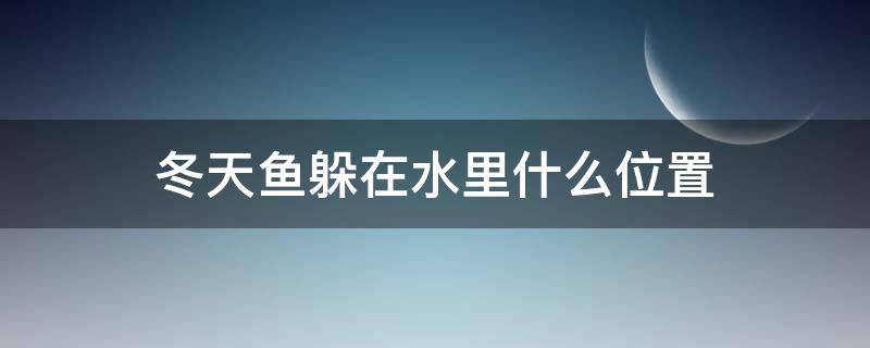 冬天鱼躲在水里什么位置（冬天大水面鱼都躲在哪里）