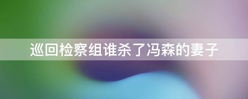 巡回检察组谁杀了冯森的妻子 巡回检察组冯森的妻子是谁杀的