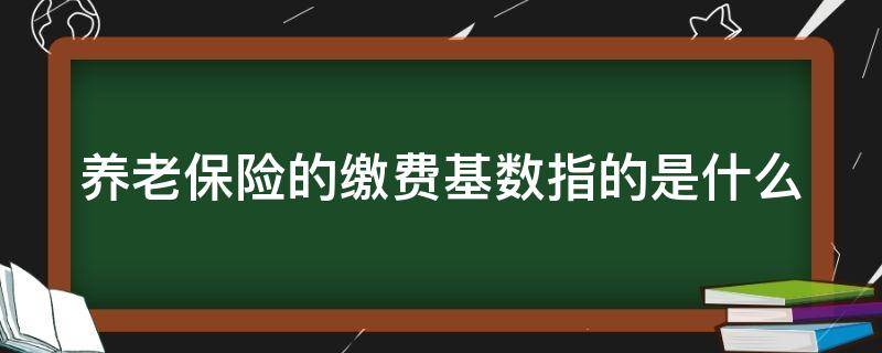 养老保险的缴费基数指的是什么（养老保险的缴费基数指的是什么呢）