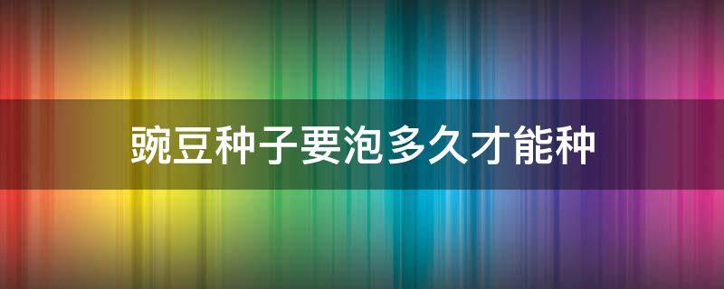 豌豆种子要泡多久才能种（豌豆种子浸泡多久）