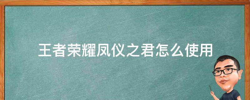 王者荣耀凤仪之君怎么使用（王者荣耀凤仪之诏和凤仪之君有什么区别）