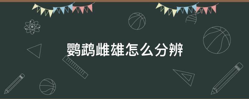 鹦鹉雌雄怎么分辨 鹦鹉怎样分辨雄雌