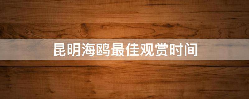 昆明海鸥最佳观赏时间（昆明海鸥最佳观赏地攻略集锦）