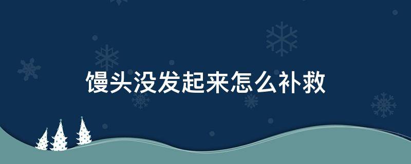 馒头没发起来怎么补救 老面馒头没发起来怎么补救