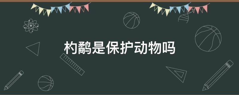 杓鹬是保护动物吗 鹬是不是保护动物