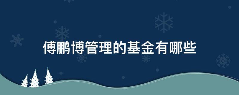 傅鹏博管理的基金有哪些 傅鹏博管理的基金是什么