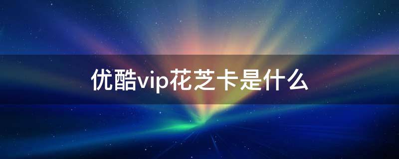 优酷vip花芝卡是什么 优酷会员支付方式花芝是什么