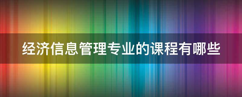 经济信息管理专业的课程有哪些 经济与信息管理