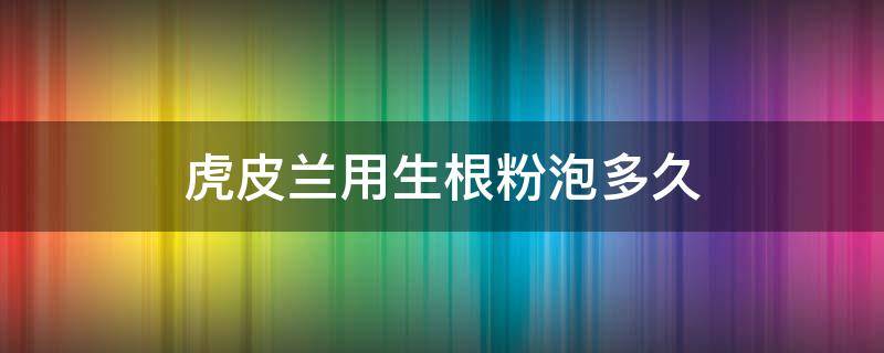 虎皮兰用生根粉泡多久 虎皮兰用生根粉泡完后需要晾晒嘛