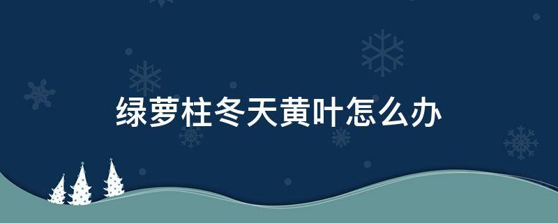 绿萝柱冬天黄叶怎么办 绿萝柱冬天下面黄叶要剪掉吗