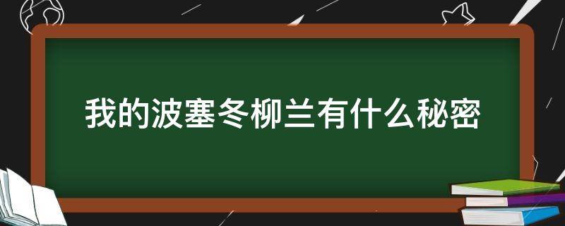 我的波塞冬柳兰有什么秘密 我的波塞冬内容简介