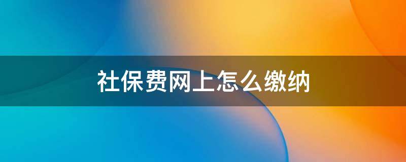 社保费网上怎么缴纳 单位社保费网上怎么缴纳