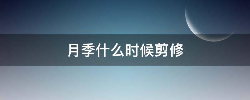 月季什么时候剪修（月季啥时间修剪）