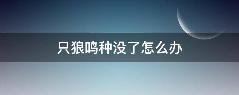 只狼鸣种没了怎么办 只狼鸣种哪里