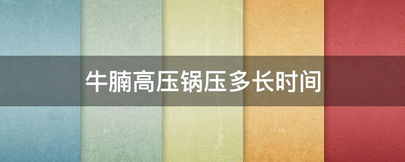 牛腩高压锅压多长时间 牛腩高压锅压多长时间熟