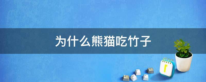 为什么熊猫吃竹子 为什么熊猫吃竹子?