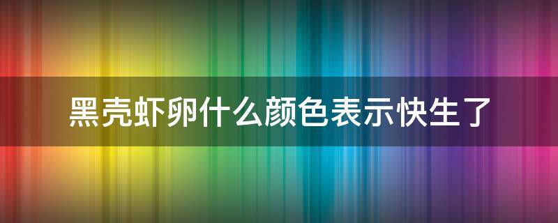 黑壳虾卵什么颜色表示快生了 黑壳虾要生了卵是什么颜色的