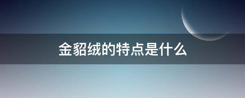 金貂绒的特点是什么（貂绒和金貂绒的区别）