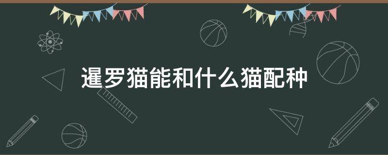 暹罗猫能和什么猫配种 暹罗能和什么品种的猫配