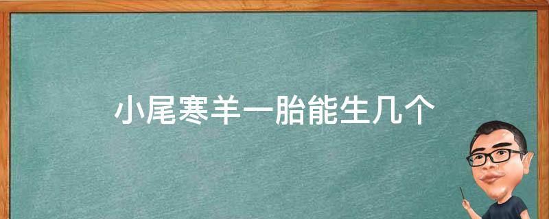 小尾寒羊一胎能生几个 小尾寒羊羊多长时间生一胎