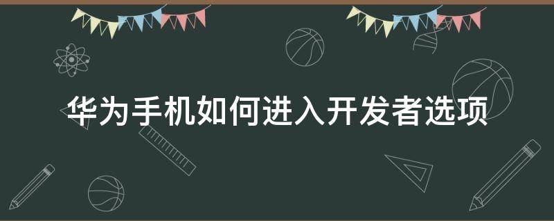 华为手机如何进入开发者选项（华为手机如何进入开发者选项?）