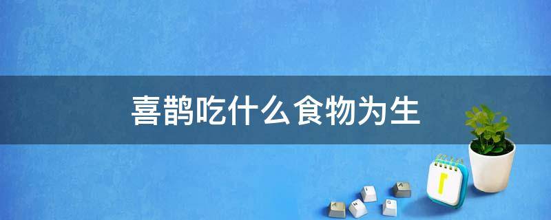 喜鹊吃什么食物为生 喜鹊吃什么呢