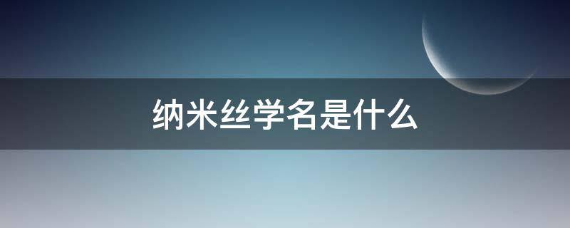 纳米丝学名是什么（纳米丝是什么成分）