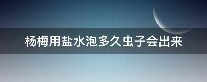 杨梅用盐水泡多久虫子会出来（杨梅）