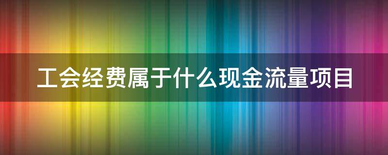 工会经费属于什么现金流量项目（工会经费属于哪个现金流）