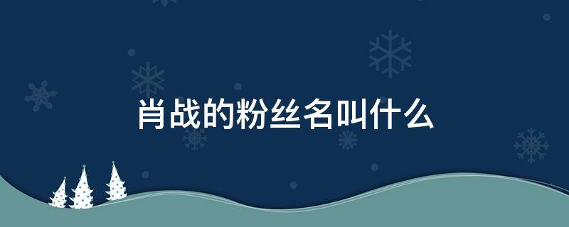 肖战的粉丝名叫什么 肖战的粉丝名叫什么?