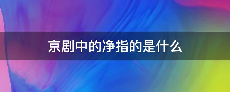 京剧中的净指的是什么（京剧中的净指的是什么脸）