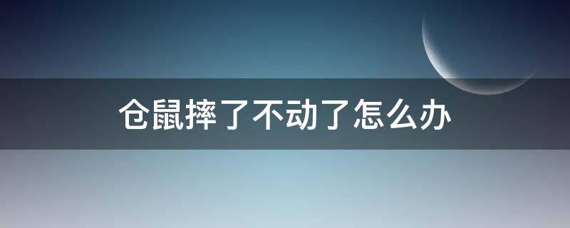 仓鼠摔了不动了怎么办（仓鼠摔到地上不动了怎么办）