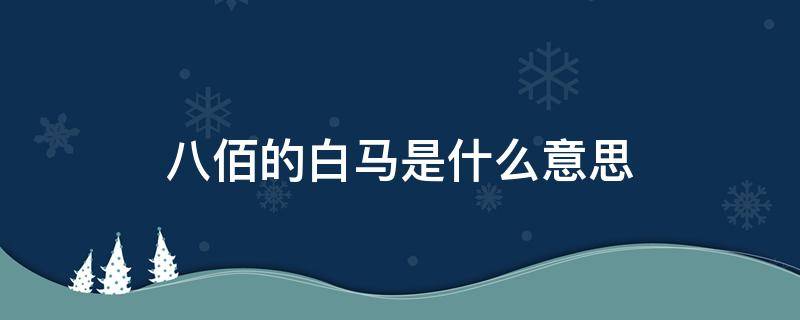 八佰的白马是什么意思（八佰的白马代表什么）