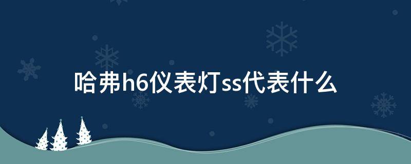 哈弗h6仪表灯ss代表什么（哈弗h6仪表显示ss）