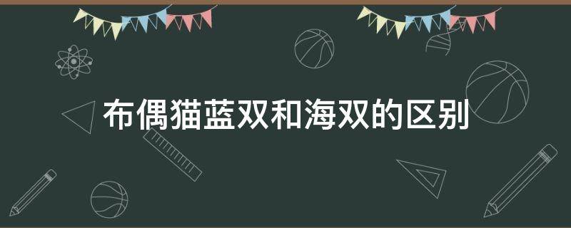 布偶猫蓝双和海双的区别 布偶猫什么是海双蓝双