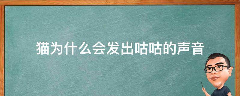 猫为什么会发出咕咕的声音 猫为什么会发出咕咕的声音跟打雷一样