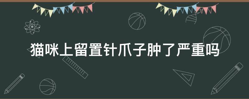 猫咪上留置针爪子肿了严重吗 猫咪埋针爪子肿了