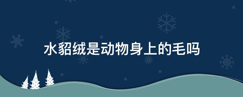 水貂绒是动物身上的毛吗 水貂绒是什么动物的毛